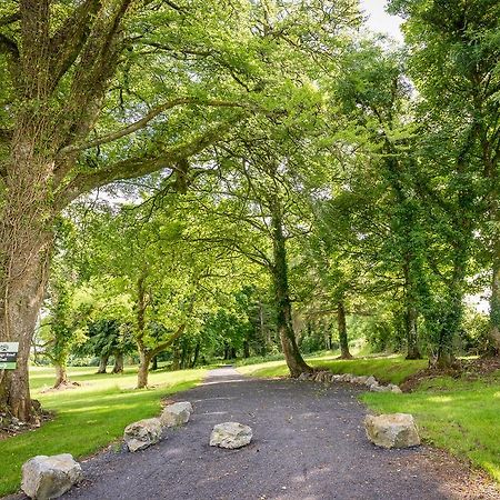 Breaffy Woods Hotel Castlebar Dış mekan fotoğraf