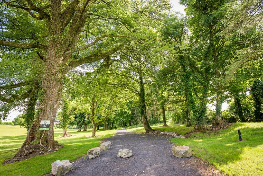Breaffy Woods Hotel Castlebar Dış mekan fotoğraf