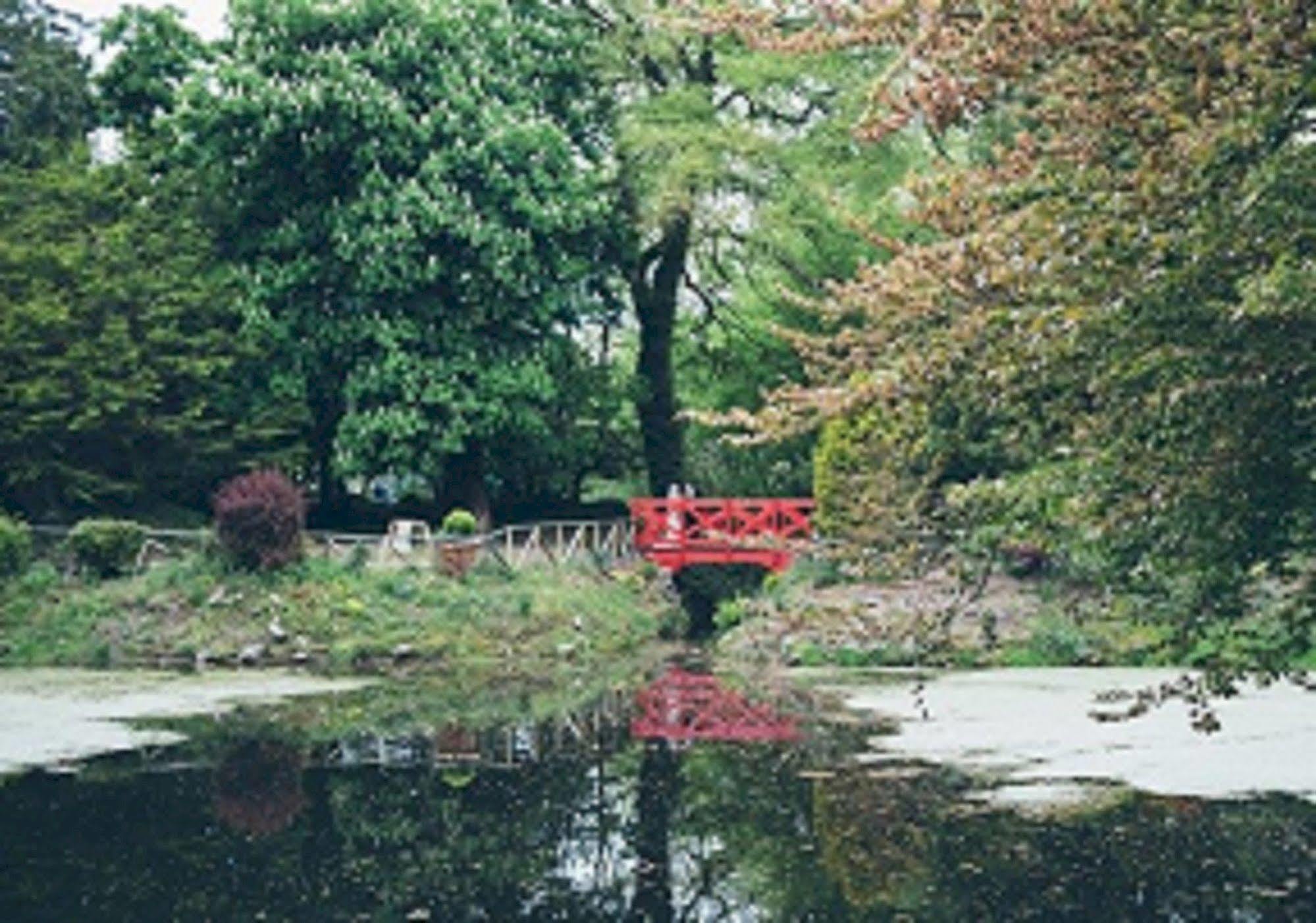Breaffy Woods Hotel Castlebar Dış mekan fotoğraf